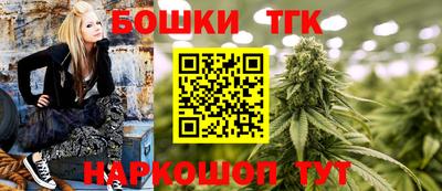 дживик Моздок
