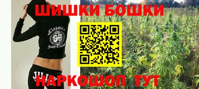 дживик Моздок