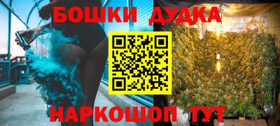 индика Будённовск