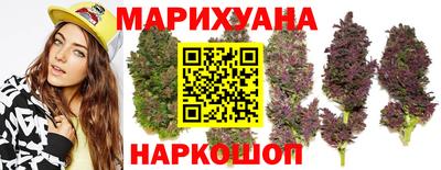 дживик Моздок