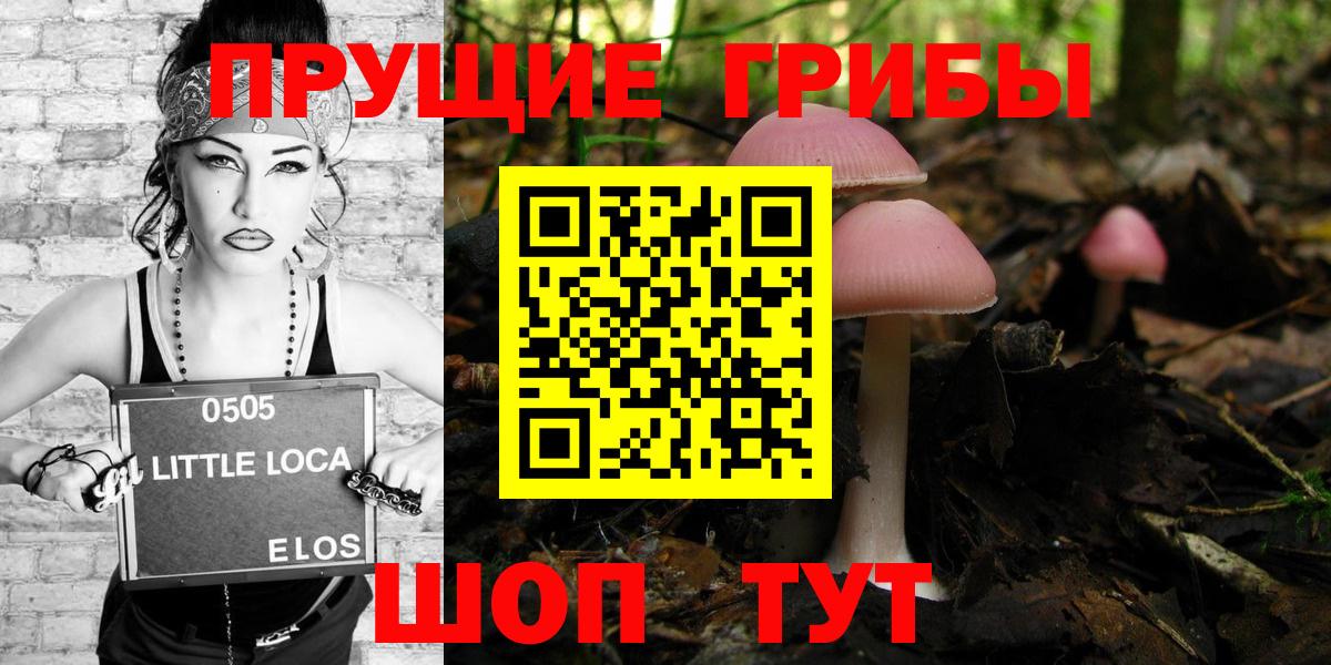 Галлюциногенные грибы Psilocybe  Галлюциногенные грибы Cubensis  Арсеньев 