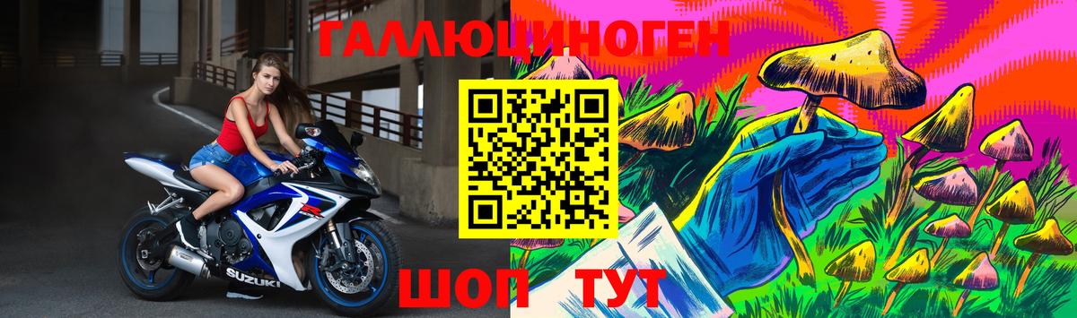 Галлюциногенные грибы мухоморы Арсеньев