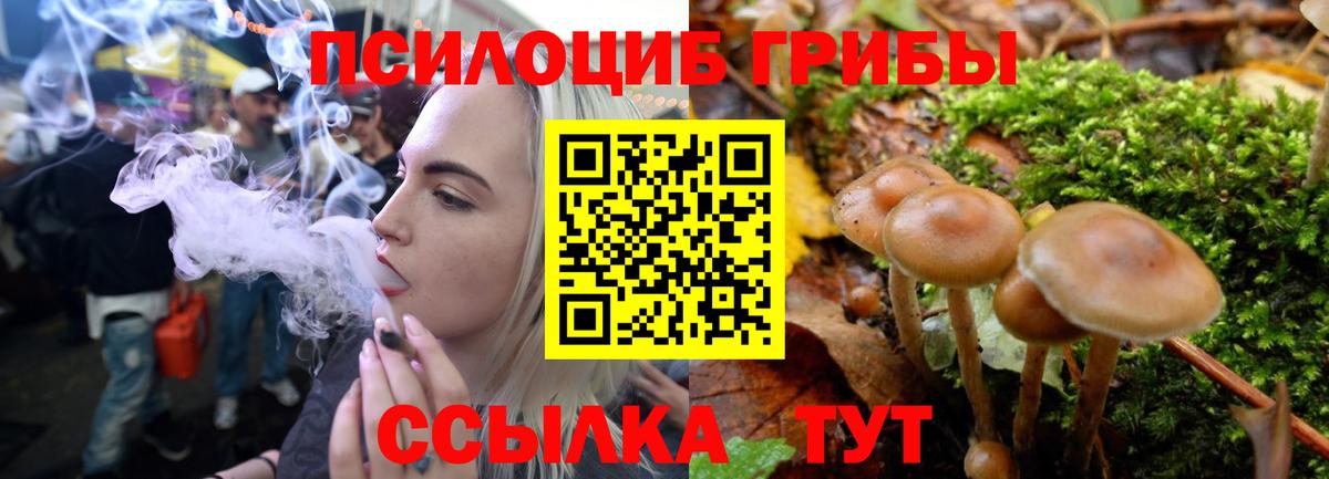 Псилоцибиновые грибы MAGIC MUSHROOMS Арсеньев