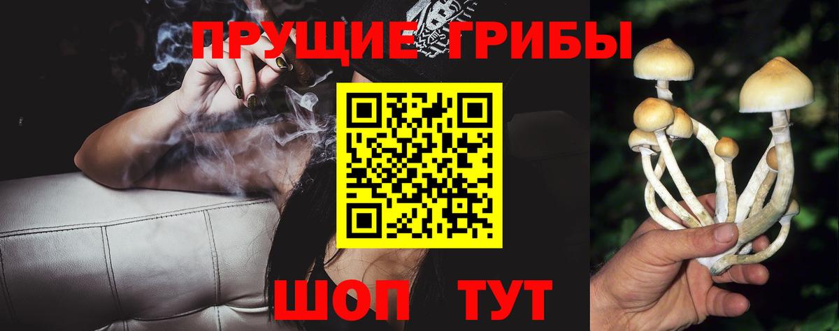 Арсеньев  сколько стоит  Псилоцибиновые грибы MAGIC MUSHROOMS  Вход с VPN  Галлюциногенные грибы MAGIC MUSHROOMS 