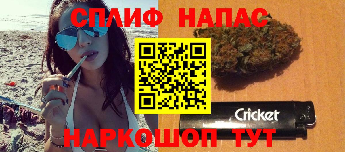 Каннабис индика Арсеньев